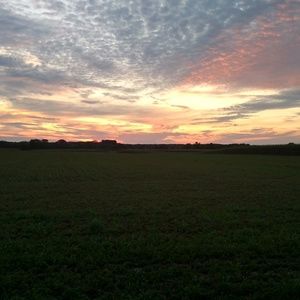 Meet your Posher, Leann